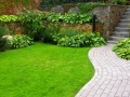 image8